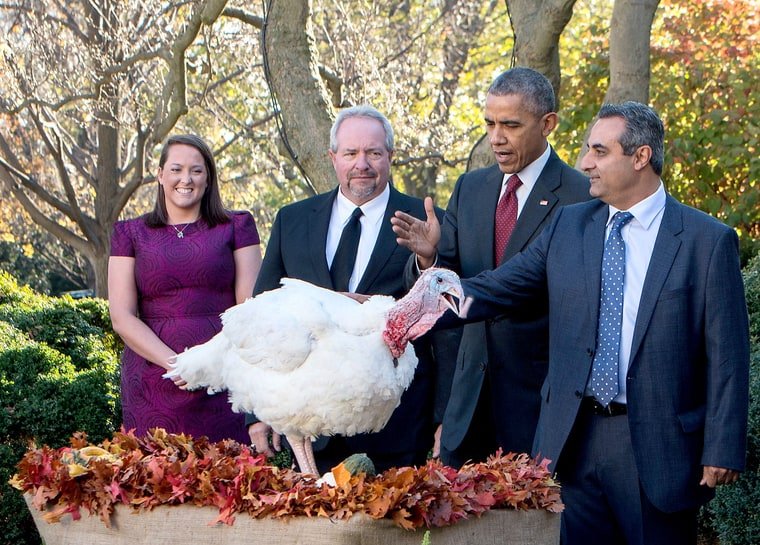 turkey-pardon-a24f7116-4bd2-4916-b89a-76f4d4a69168